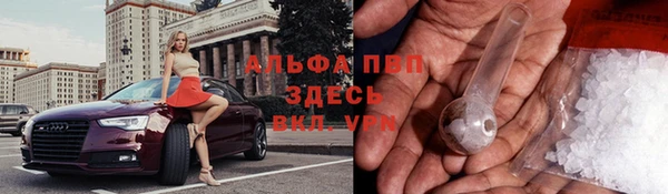 ECSTASY Алексеевка