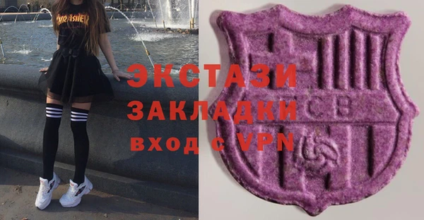 хмурый Алзамай
