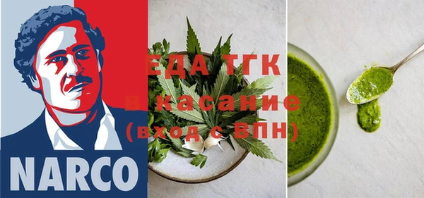хмурый Алзамай