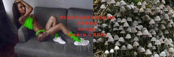 ECSTASY Алексеевка