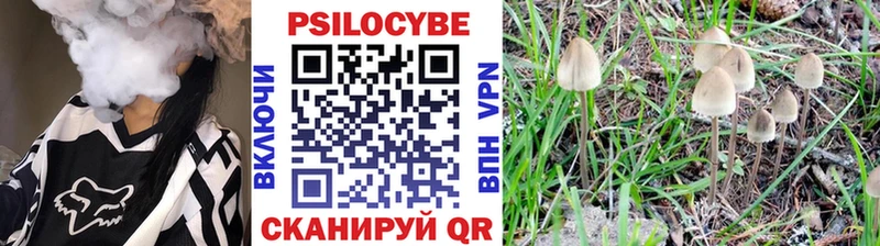 Псилоцибиновые грибы мухоморы  купить закладку  мега tor  Ува 